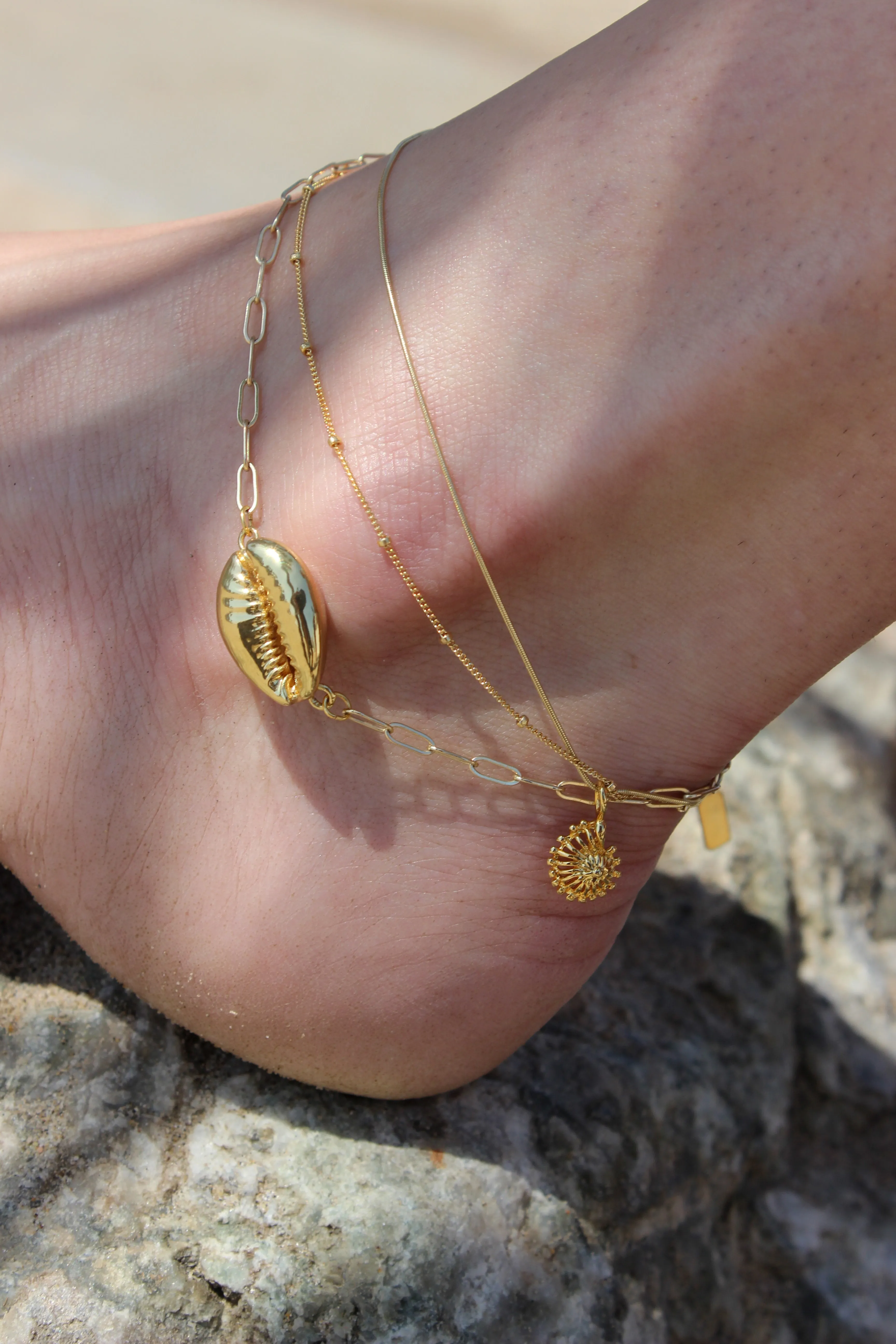 Preserve // Cowrie Shell Anklet, Silver or Gold, Quality Jewelry, Summer Anklets // BH-A002